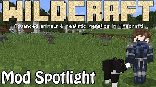 WildCraft: Advanced Animals & Genetics in Minecraft! | Mod Spotlight