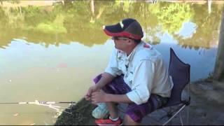 Pescaria de Tilapia sem chumbo