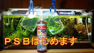 【アクアリウム】60cmスリム水槽　#46 PSBと熱帯魚追加