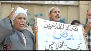 Egyptian farmers protest forces release of detainees