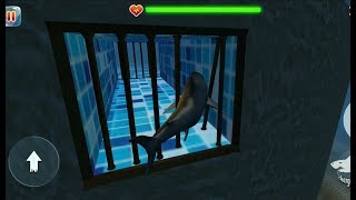 ► Hungry Shark Sea Escape | Scary Shark Evolution 3D #2 Best Games 2019 Update