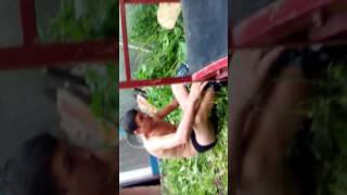 Юрец смотрич(2)