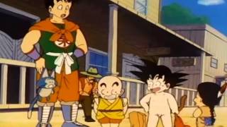 Dragonball Funniest Moments