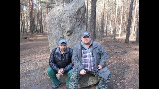 Поход выходного дня в весенний лес! Походная еда!