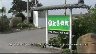Sing Chang Koi Farm Taiwan