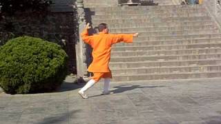Ying Quan (Eagle Fist Form)