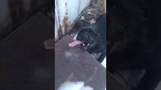 Нахуя ты железо лижишь долбоеб))