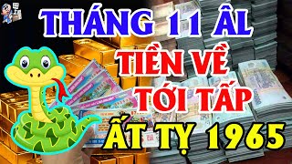 TU VI THANG 11 ÂL Tuổi Ất Tỵ 1965 Trúng Quả Giàu To Tiền Về Tới Tấp Đổi Đời Đại Gia | TỬ VI TÀI LỘC
