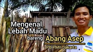Menjinakkan Lebah Madu Bersama PB PMII_Melestarikan Alam