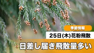 2月25日(木)の花粉飛散予想 日差し届き飛散量多い
