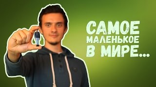 Самое Маленькое в Мире...