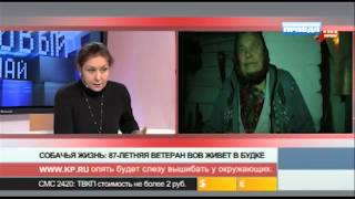 Собачья жизнь: 87-летняя Ветеран ВОВ живет в будке