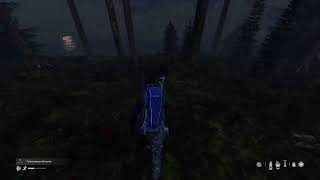 Русский частный сервер DayZ PS4 1.04