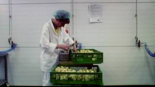 いのちの食べ方ヒヨコ編