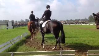 Nationaal tornooi Lrv 2013