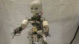 iCub, le robot fantome ?