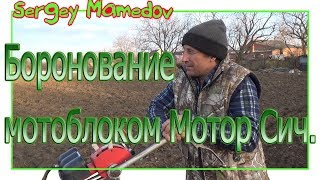 ➤БОРОНОВАНИЕ МОТОБЛОКОМ.  1 ЭТАП К ПОСЕВУ ЛЮЦЕРНЫ