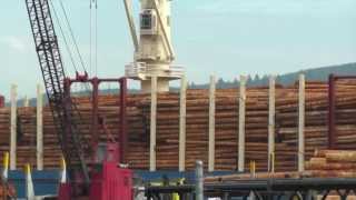 Ocean Terminals Log Export Facility loading the Jamaica Bay
