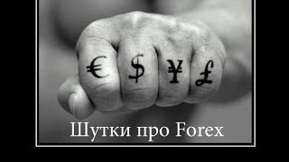 Шутки про Forex