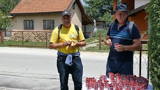 Trešnje za hodočasnike svetom Anti u Busovaču