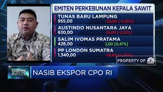 Program B30 Topang Demand & Penyerapan CPO Dalam Negeri