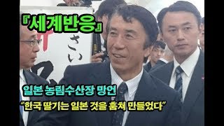 [해외반응] 일본 농림수산장, "한국의 딸기는 일본 것을 훔쳐 만들었다"