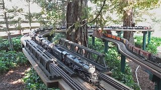 MIle Long Steam Train Official Run