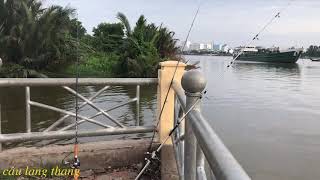 Câu cá sông Sài Gòn - địa điểm lý tưởng cho picnic, dã ngoại