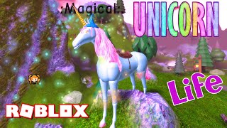 ROBLOX UNICORNS LIFE! Spending Sparkles on BUBBLES & Exploring the Map! Super Funny Horse RUN