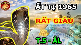 Tử Vi Tháng 5 ÂL Tuổi Ất Tị 1965 Vượt Qua Bể Khổ, PHÁT TÀI PHÁT LỘC Đổi Vận Cực Giàu