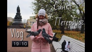 vlog: В поезде. Еду в Санкт-Петербург.
