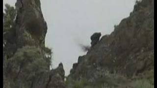 Sniper Shots