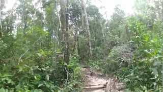 Koh Rong jungle walk Part #2