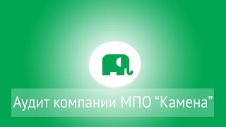 АУДИТ МПО "КАМЕНА"