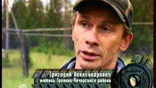 аномалии коми 1