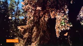 Earth spirit (Native American Music 432hz )