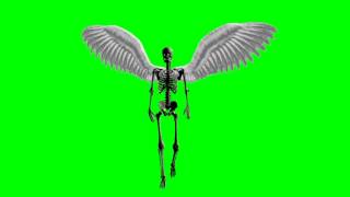 skeleton with wings goes - green screen effect