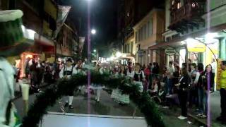 desfile os tulipeiros