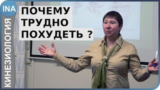 Почему трудно похудеть? Как похудеть? Кинезиология. Л.Ф.Васильева