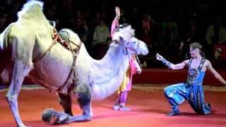 Московский цирк Юрия Никулина на Цветном бульваре
