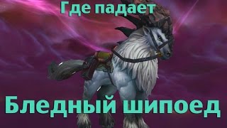 Как получить или Где падает Бледный шипоед