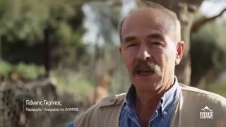 ΟΡΕΙΝΕΣ ΔΙΑΔΡΟΜΕΣ ΟΛΥΜΠΟΣ | ΠΗΛΙΟ
