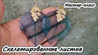 Скелетированные листья ❤ Мастер-класс ❤ Эпоксидная смола
