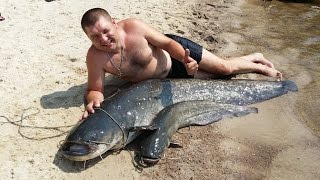 ловля сома на квок 40 кг