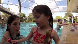 GoPro Hero2 Underwater Pool Cam Swimming in South Florida
