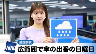 お天気キャスター解説 あす 11月13日(日)の天気