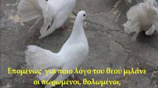 106  a wmv Λευκά Περιστέρια Έρευνα
