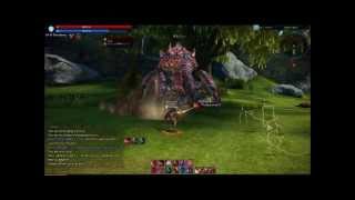 Tera Online Shidow fights Arakia alone