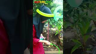 susah bet susah #shorts #shortvideo #ballon #balloon #ballons #balloons #ballons#fypシ #cinta #drama