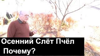 Пасека #66 Осенний Слёт Пчёл Почему? Обмен Опытом. Пчеловодство.Пасека.